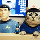 Image for article titled Meet China's Next Cat Celebrity